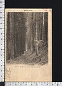 R2503 LES VOSGES FORET DE SAPINS A KICHOMPRE GERARDMER 88 VG FP